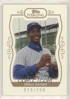 Ernie Banks #/250