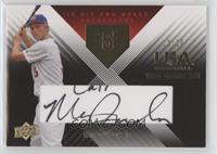 Matt Davidson #/20