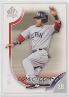 Dustin Pedroia #/19