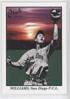 Ted Williams (Triangle around Number) #/50