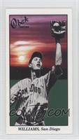 Ted Williams (Base Ball Series)