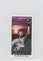 Ted Williams (Base Ball Series)