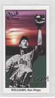 Ted Williams (Base Ball Series)