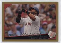 David Ortiz #/2,009