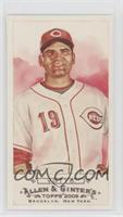 Joey Votto