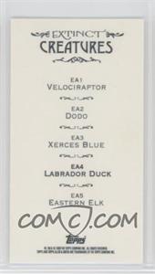 Labrador-Duck.jpg?id=7a7d2272-0dca-4432-b768-3272b0293ed7&size=original&side=back&.jpg