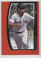 Mike Lowell #/1,199