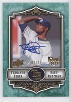 Fernando Perez #/25