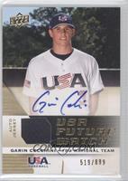 Garin Cecchini #/899