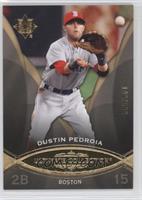 Dustin Pedroia #/599