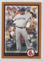 David Ortiz #/250