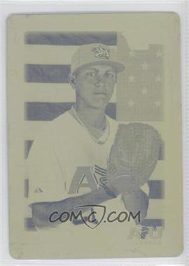 2010 Bowman Draft Picks & Prospects - Draft Picks - Printing Plate Yellow #BDPP106 - Felipe Perez /1