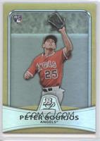 Peter Bourjos #/539