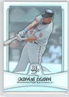 Adam Dunn #/999