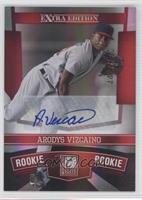 Arodys Vizcaino #/770