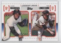 Juan Marichal, Tim Lincecum