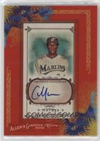 Cameron Maybin