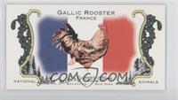 Gallic Rooster