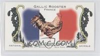 Gallic Rooster