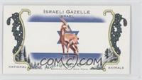 Israeli Gazelle