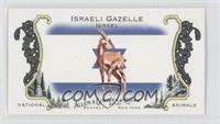 Israeli Gazelle