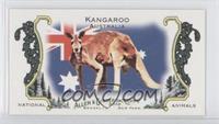 Kangaroo