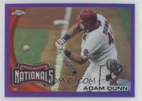 Adam Dunn #/599