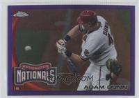 Adam Dunn #/599