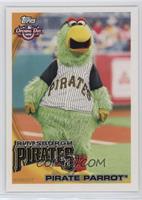 Pirate Parrot