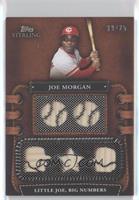 Joe Morgan #/25