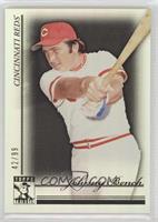 Johnny Bench #/99