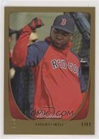 David Ortiz