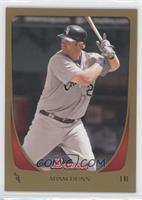 Adam Dunn