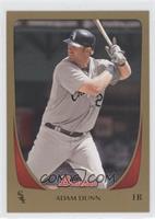 Adam Dunn