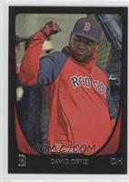 David Ortiz