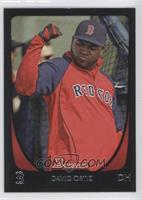 David Ortiz