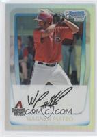 Wagner Mateo #/799