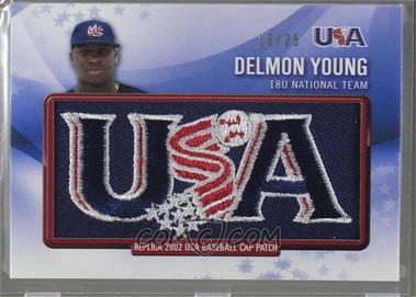 2011 Bowman - Retro Patch Relics #RPR-34 - Delmon Young /25 [Noted]