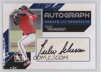 Julio Teheran #/390