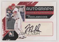 Will Middlebrooks #/390