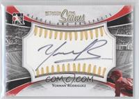 Yorman Rodriguez #/19