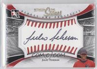 Julio Teheran #/30