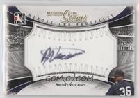 Arodys Vizcaino #/1