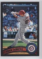 Adam LaRoche #/60