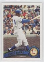 SP Legend Variation - Ernie Banks