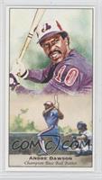 Andre Dawson