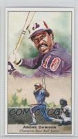 Andre Dawson