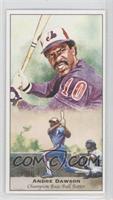 Andre Dawson