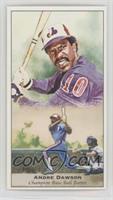 Andre Dawson