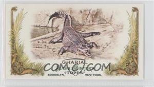 2011 Topps Allen & Ginter's - Animals in Peril Minis #AP5 - Gharial